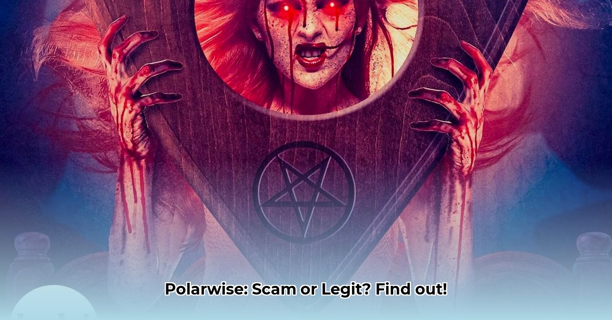 polarwise-review